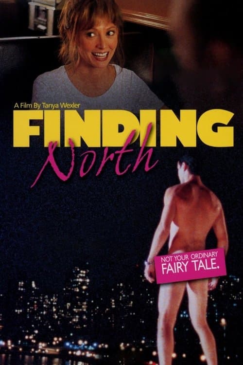 Poster for Finding North