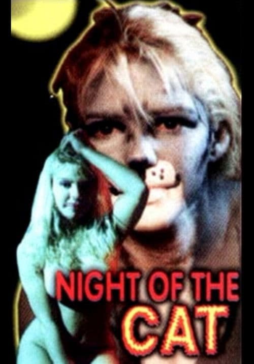 Poster for Night of the Cat