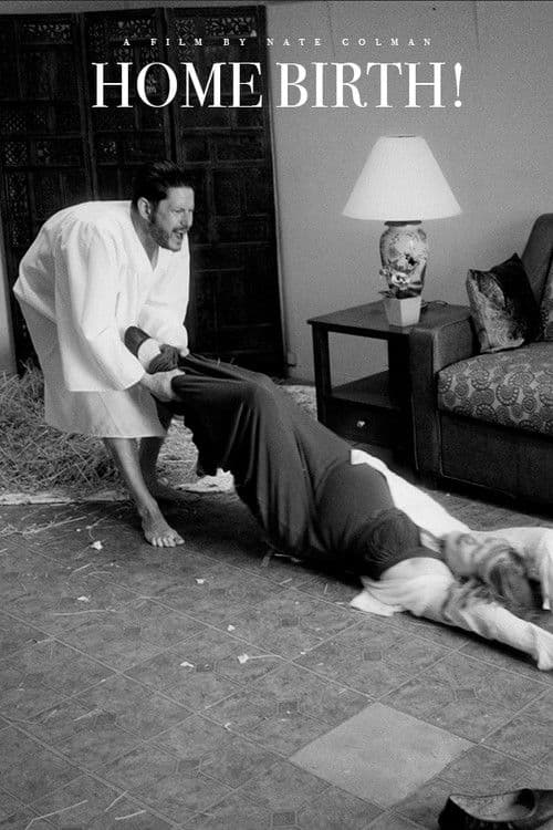 Poster for Home Birth!