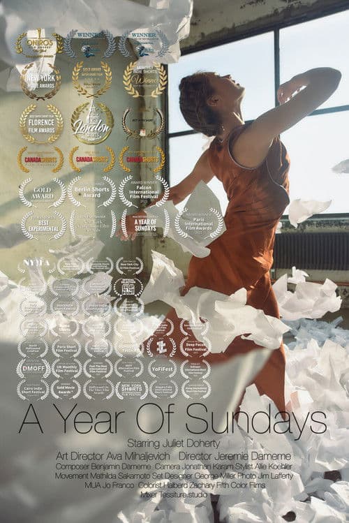Poster for A Year of Sundays