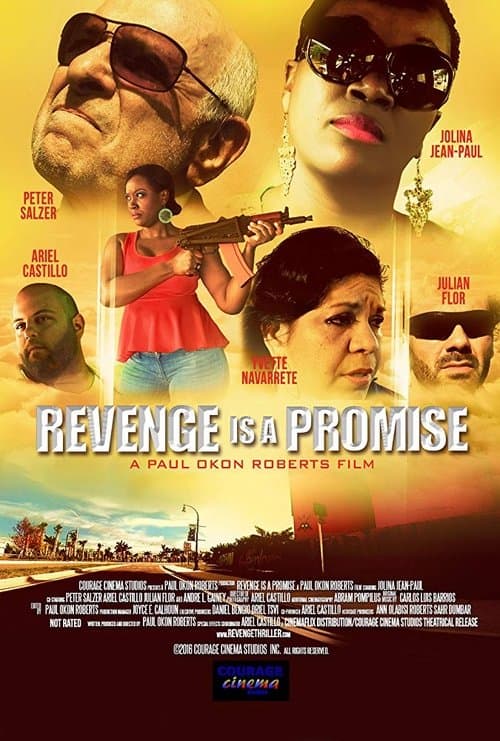 Poster for Revenge is a Promise