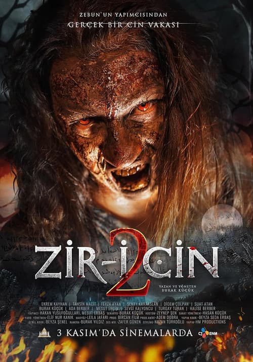 Poster for Zir-i Cin 2