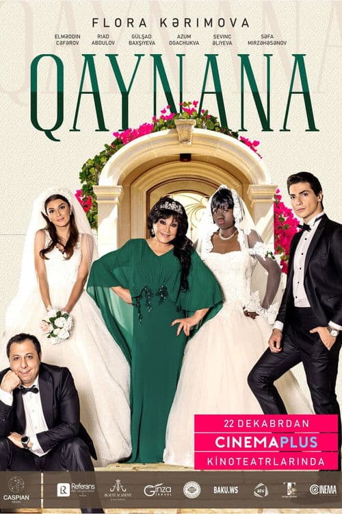 Poster for The Mother-in-Law