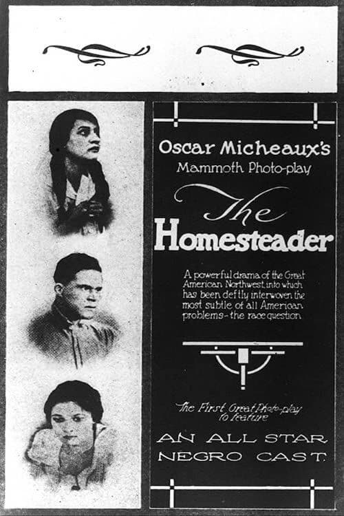 Poster for The Homesteader