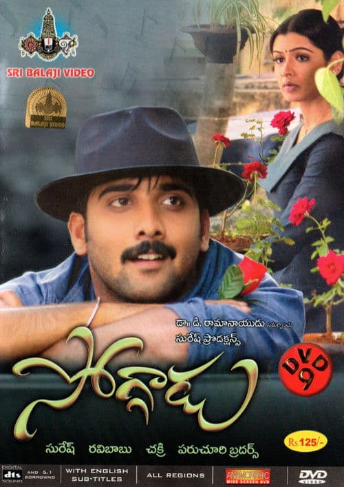 Poster for Soggadu