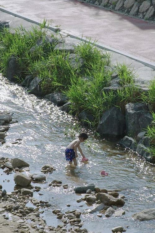 Poster for Fisher Boy