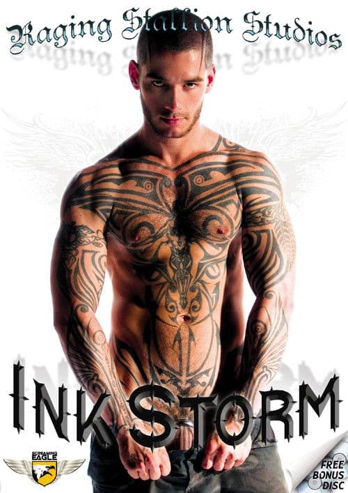 Poster for Ink Storm