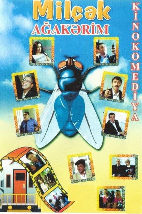 Poster for Fly