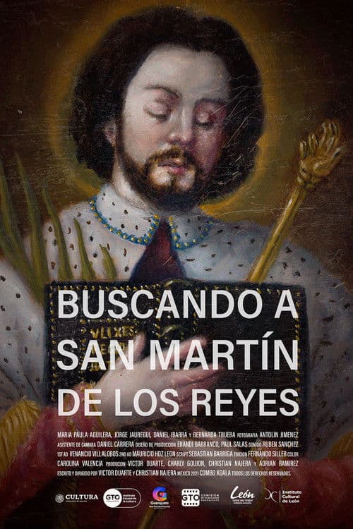 Poster for Looking for San Martín de los Reyes