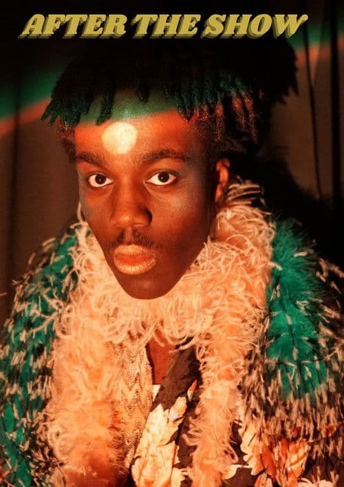 Poster for After the show