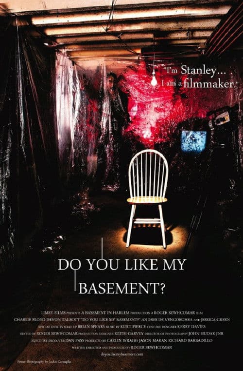 Poster for Do You Like My Basement?
