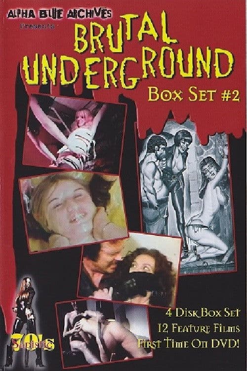 Poster for Sin in '69