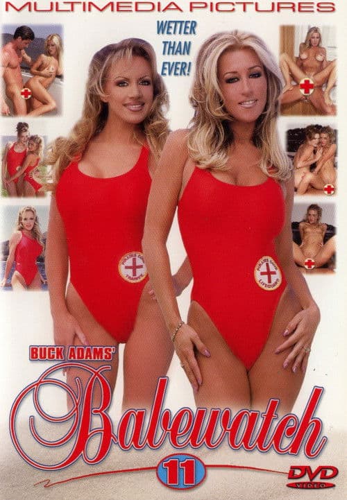 Poster for Babewatch 11