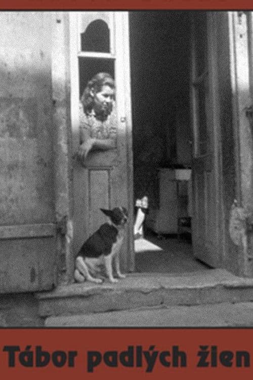 Poster for Camp of Fallen Women