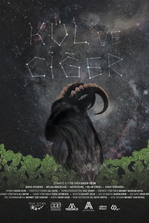 Poster for Kül ve Ciğer