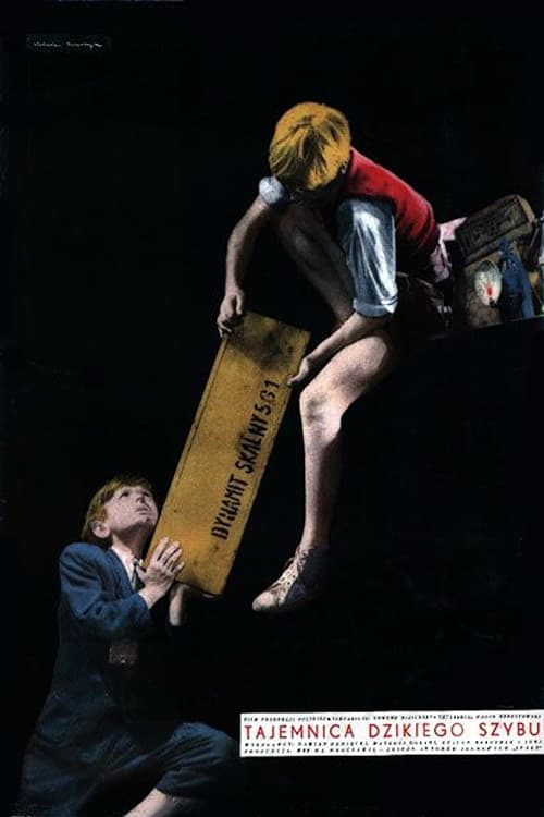 Poster for Tajemnica dzikiego szybu