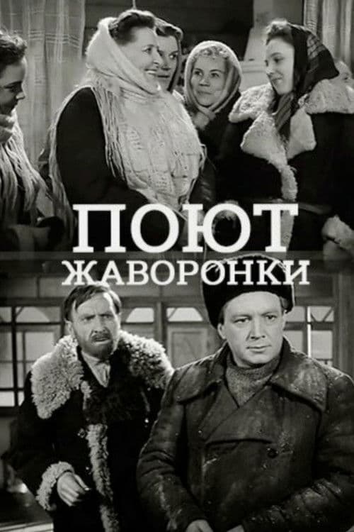 Poster for Поют жаворонки