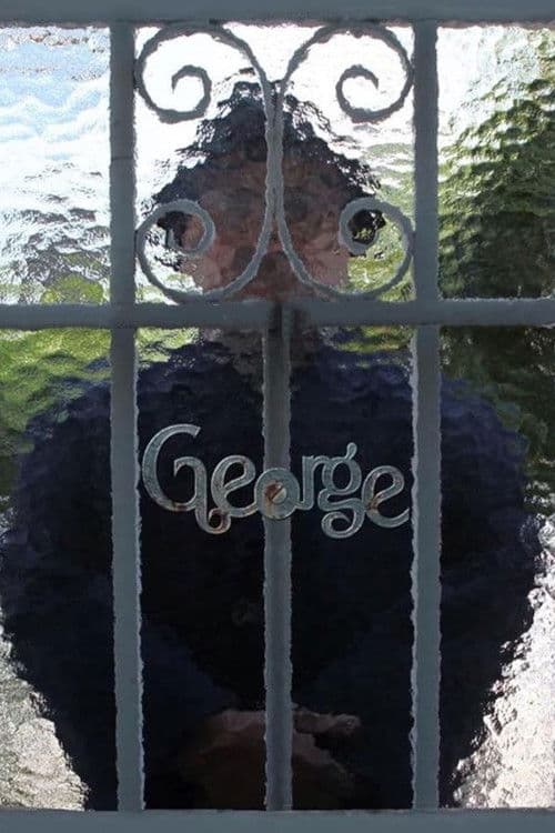 Poster for George