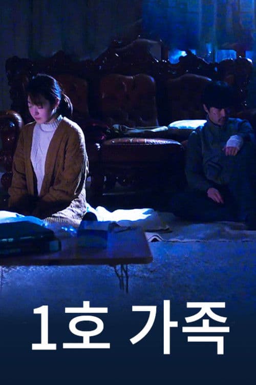 Poster for The First Family