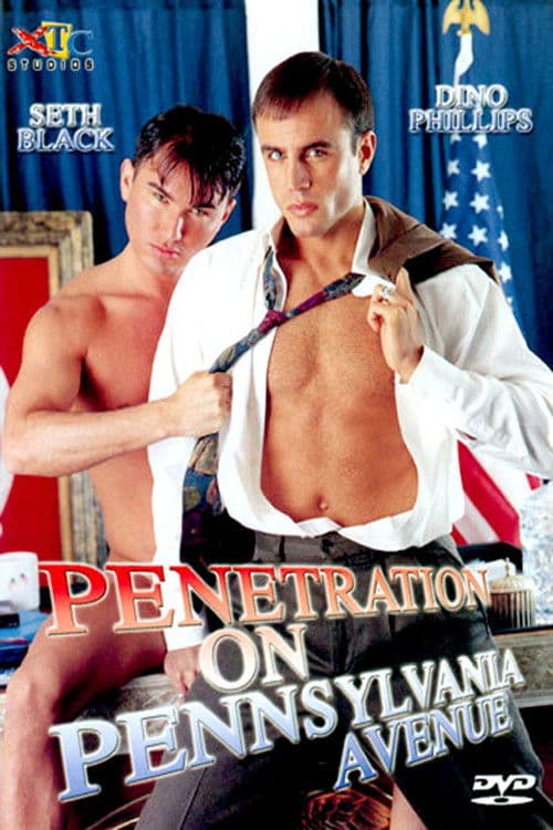 Poster for Penetration on Pennsylvania Avenue