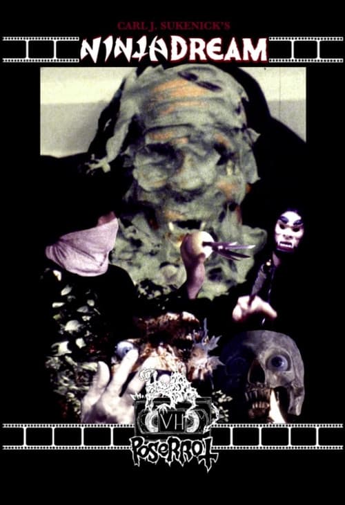 Poster for Ninja Dream