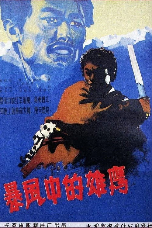 Poster for 暴风中的雄鹰