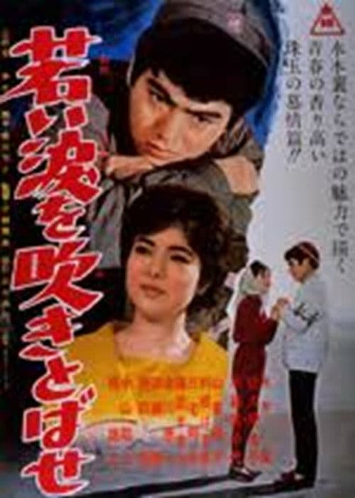 Poster for 若い涙を吹きとばせ