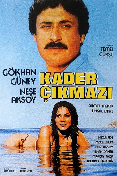 Poster for Kader Çıkmazı
