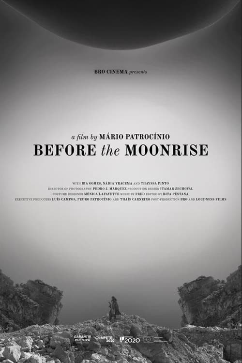 Poster for Before the Moonrise