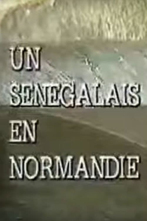 Poster for A Senegalese Man in Normandy