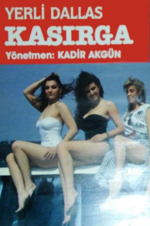 Poster for Local Dallas: Cashier