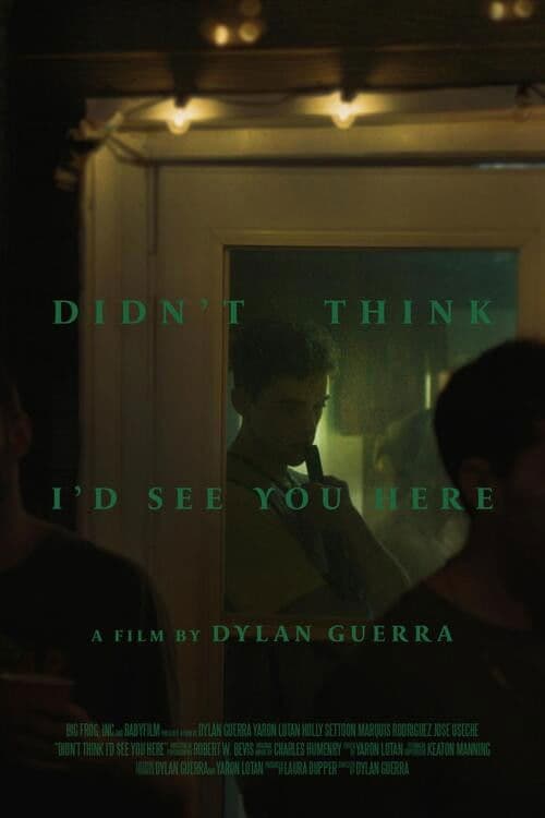 Poster for Didn't Think I'd See You Here
