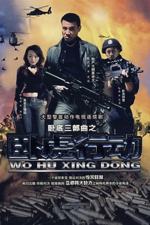 Poster for 卧虎行动