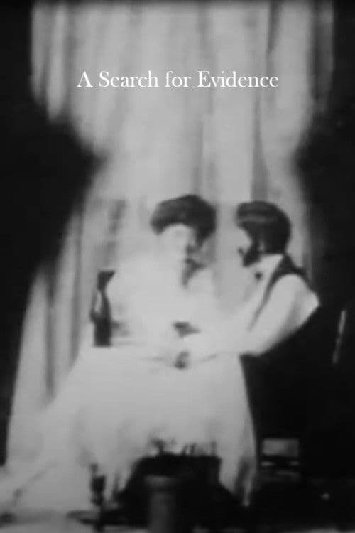 Poster for A Search for Evidence