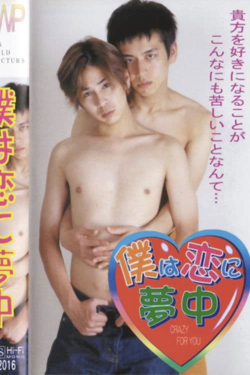 Poster for Addicted to Love