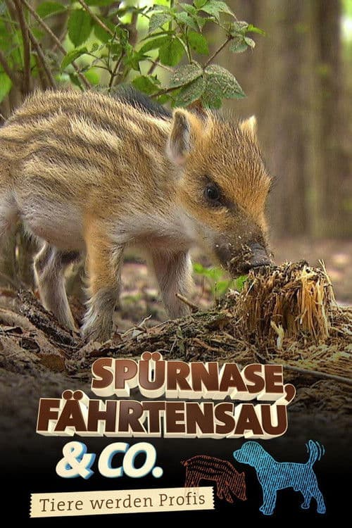 Poster for Spürnase, Fährtensau & Co.