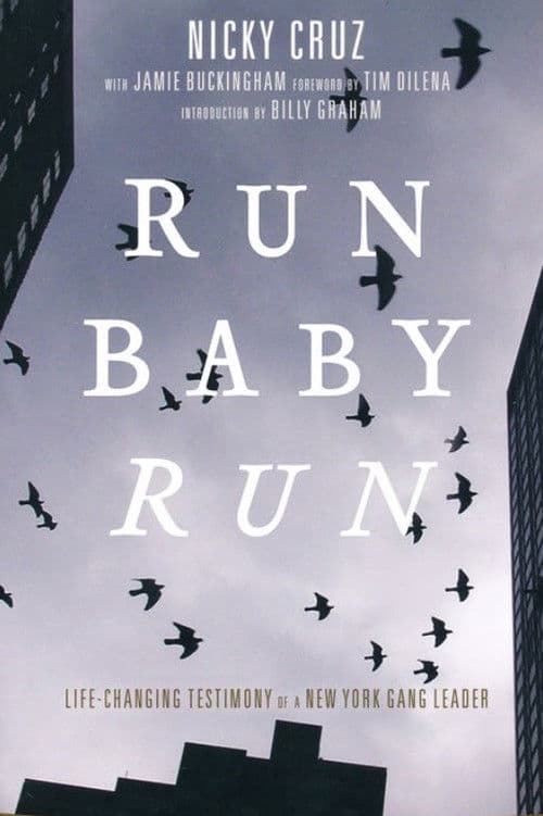 Poster for Run Baby Run