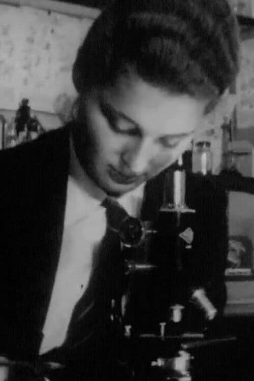 Similar title Comprehensive School