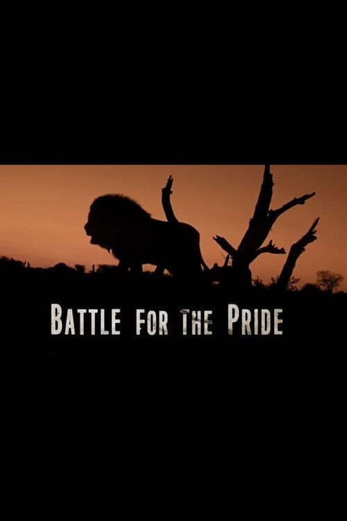 Poster for Battle for the Pride
