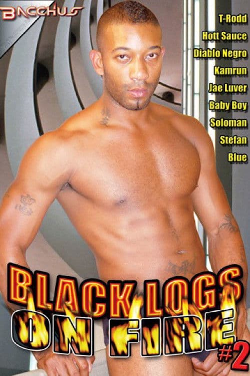 Poster for Black Logs on Fire 2