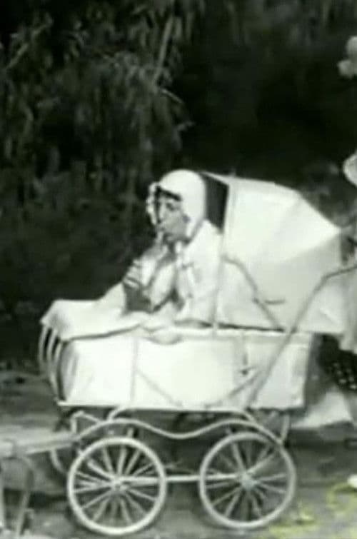 Poster for The Two Foxes