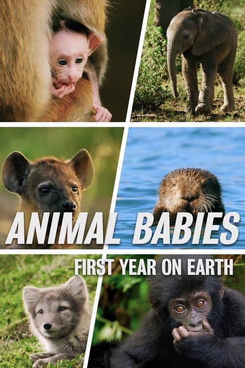 Similar show Animal Babies: First Year On Earth