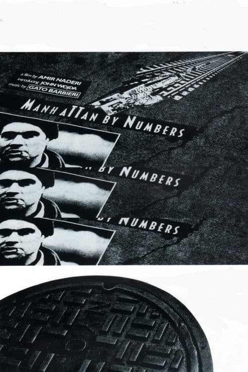 Poster for Manhattan by Numbers