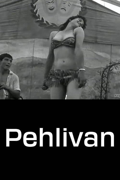 Poster for Pehlivan