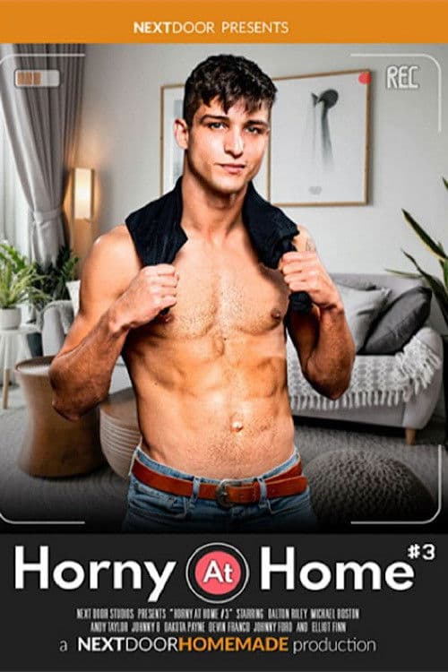 Poster for Horny at Home 3