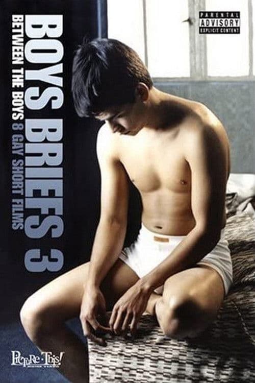Poster for Boys Briefs 3: Between the Boys