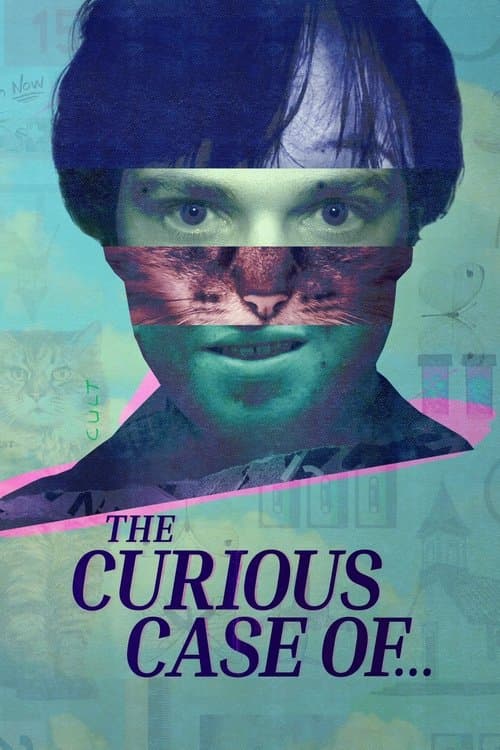 Poster for The Curious Case of...