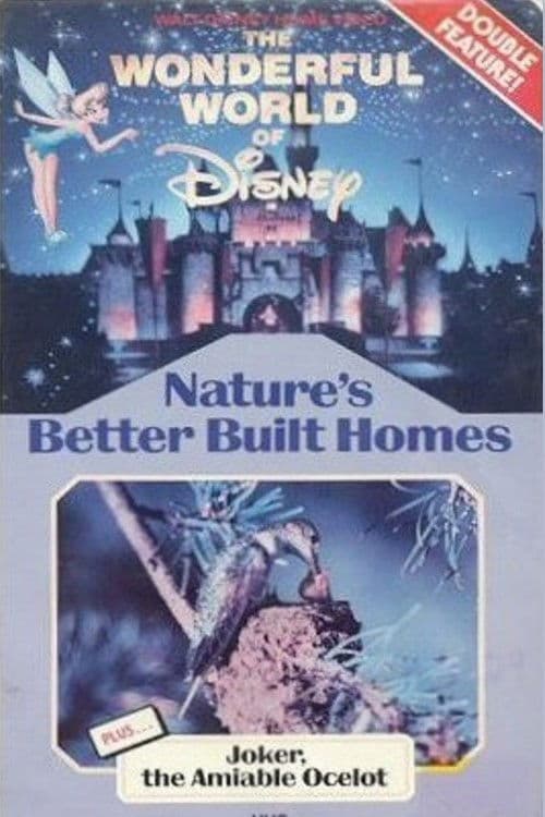 Similar title Joker, The Amiable Ocelot