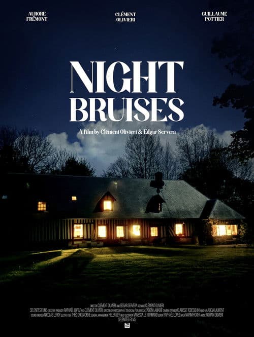 Poster for La Nuit Nuit