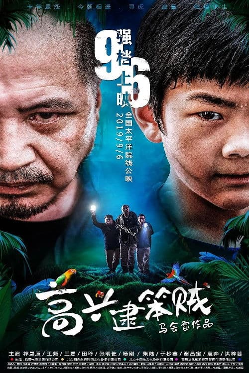 Poster for 高兴逮笨贼